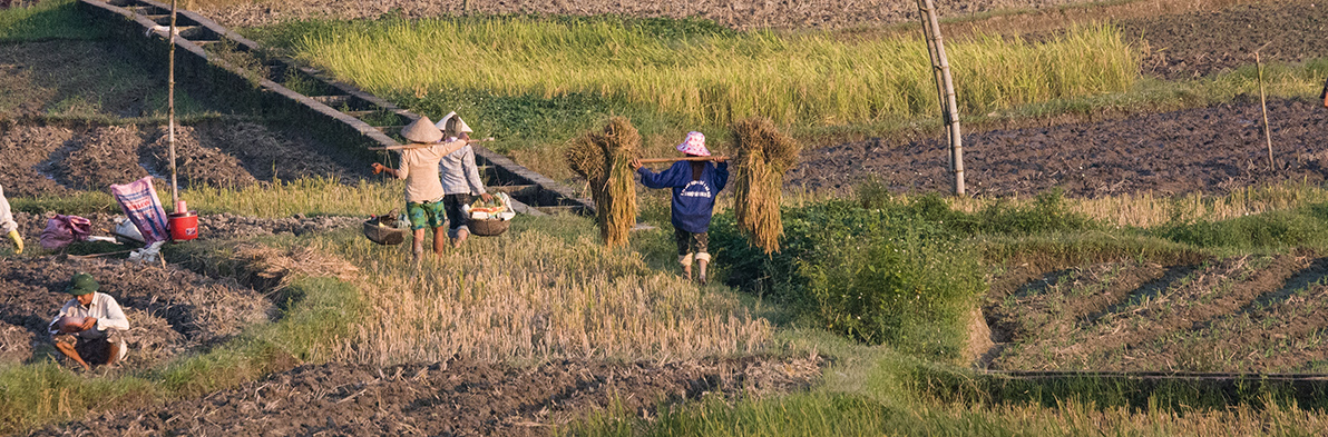 Ha Chiang   Retour Hanoi   006
